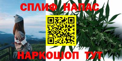 дживик Нарткала