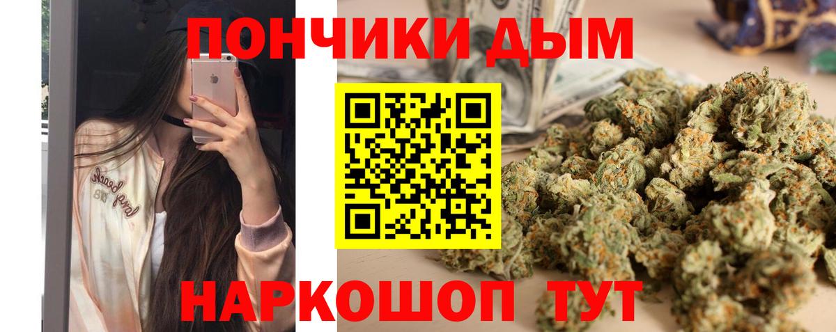 Каннабис план Тимашёвск